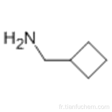 Cyclobutylméthylamine CAS 4415-83-2